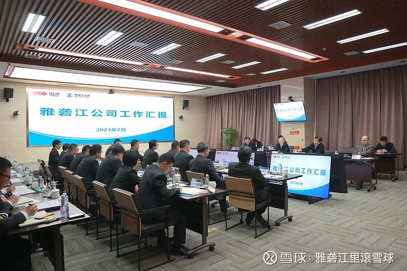 川投能源(600674.SH):总经理杨洪辞职