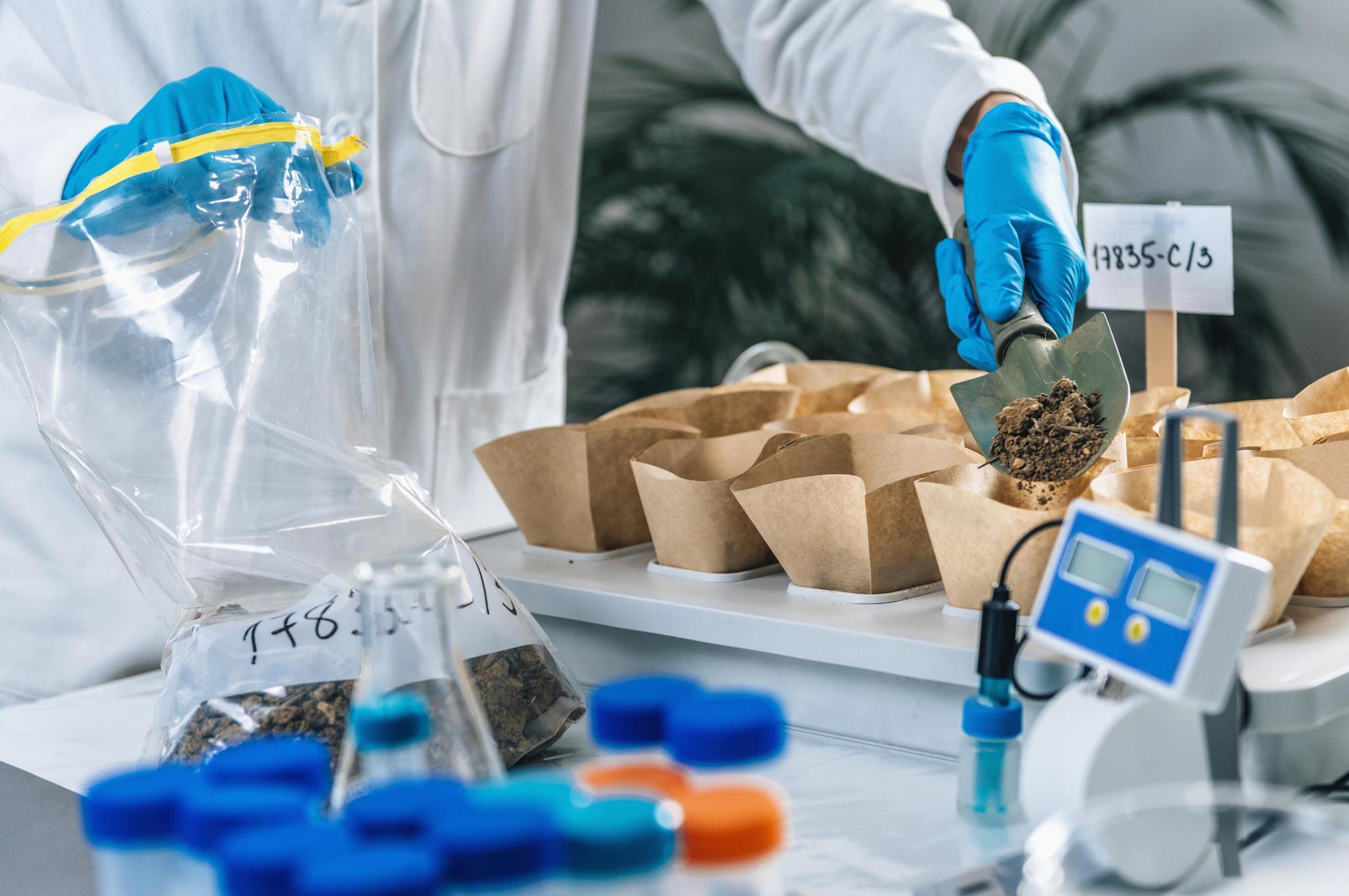 第十一批国家组织药品集采开标，竞争激烈程度远高于前十批