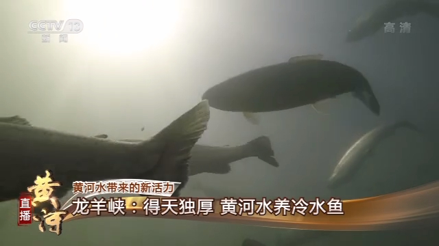 清水源龙虎榜数据（11月11日）