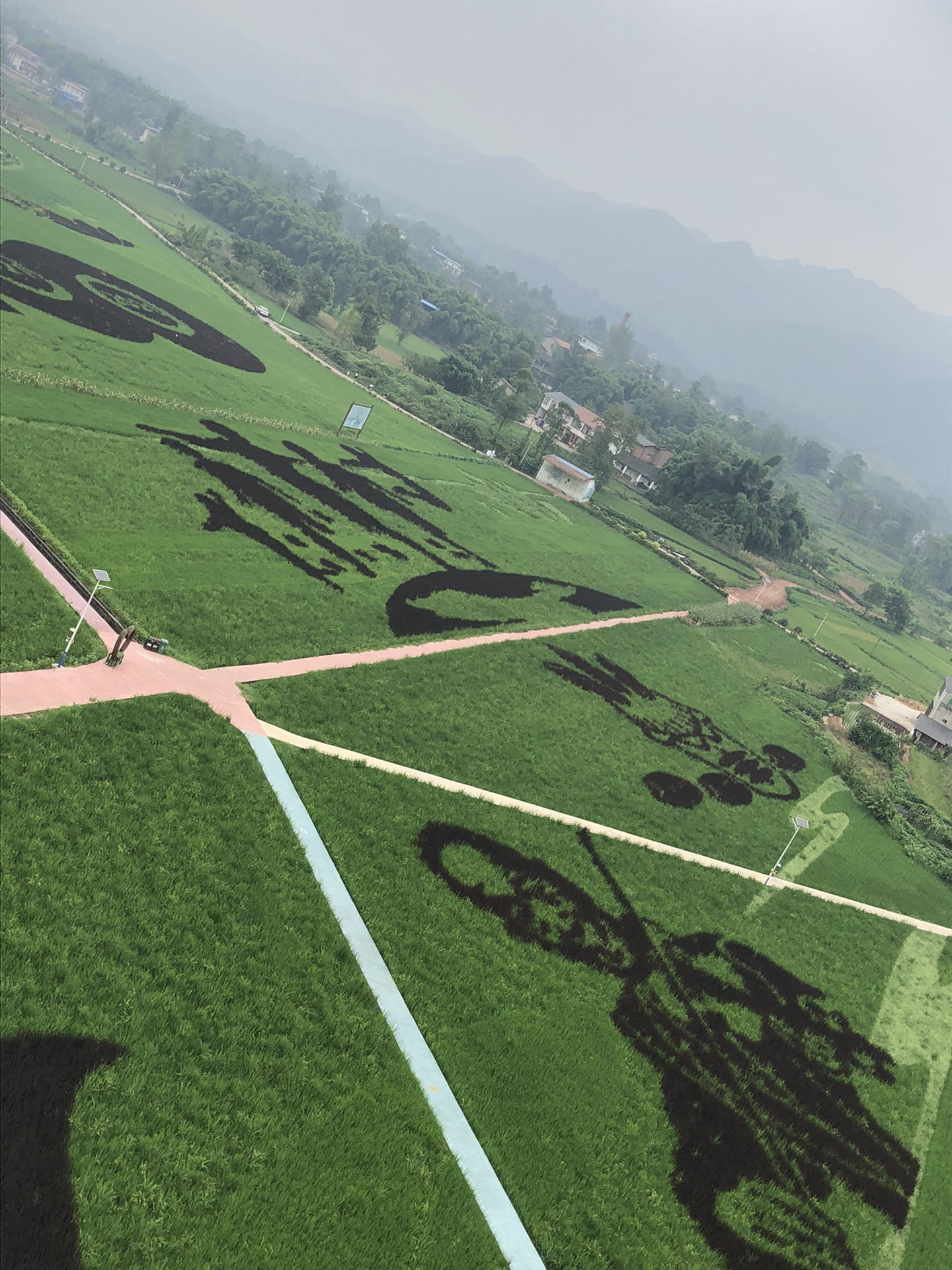 美丽中国、魅力乡村，需要一张好图纸