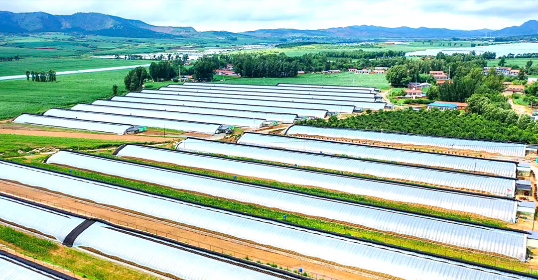 江西上饶：推进油菜冬种 打造产业增收田