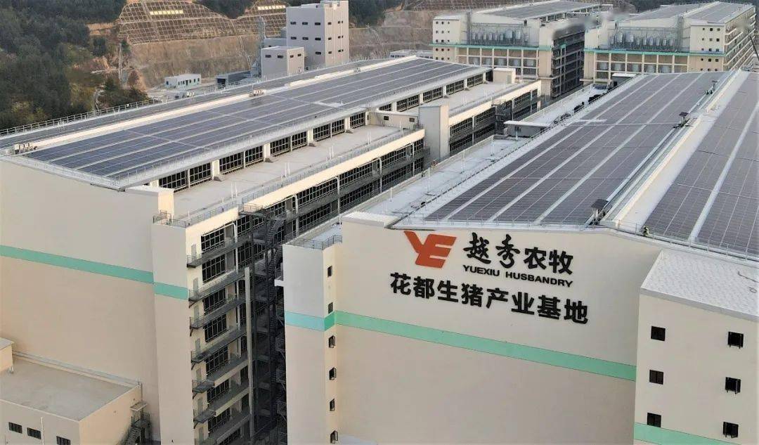 尼加拉瓜劳雷亚诺：欢迎中企参与本国能源项目投资