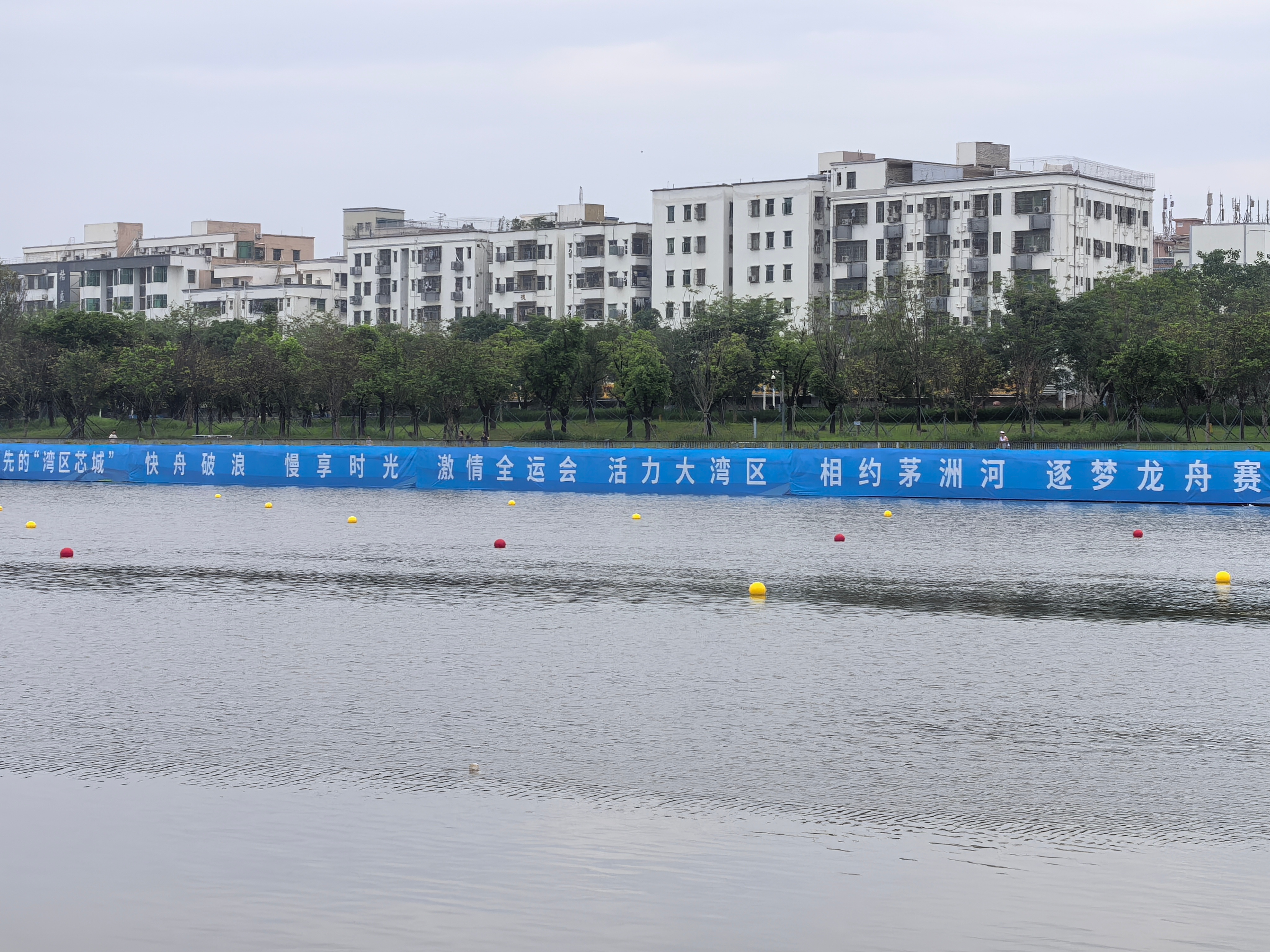 一汪创投活水，润泽大湾区“科创雨林”丨魅力湾区・相约南沙