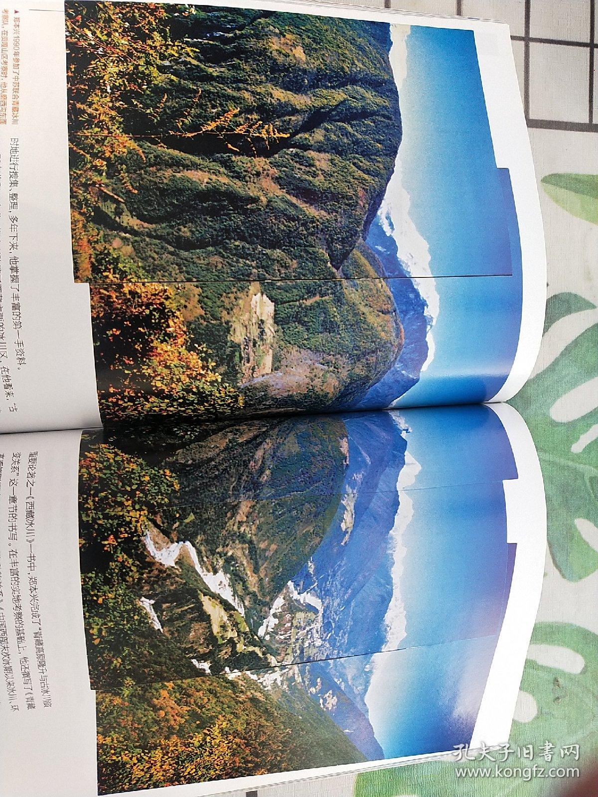 买量“失灵”之后，冰川网络大转身