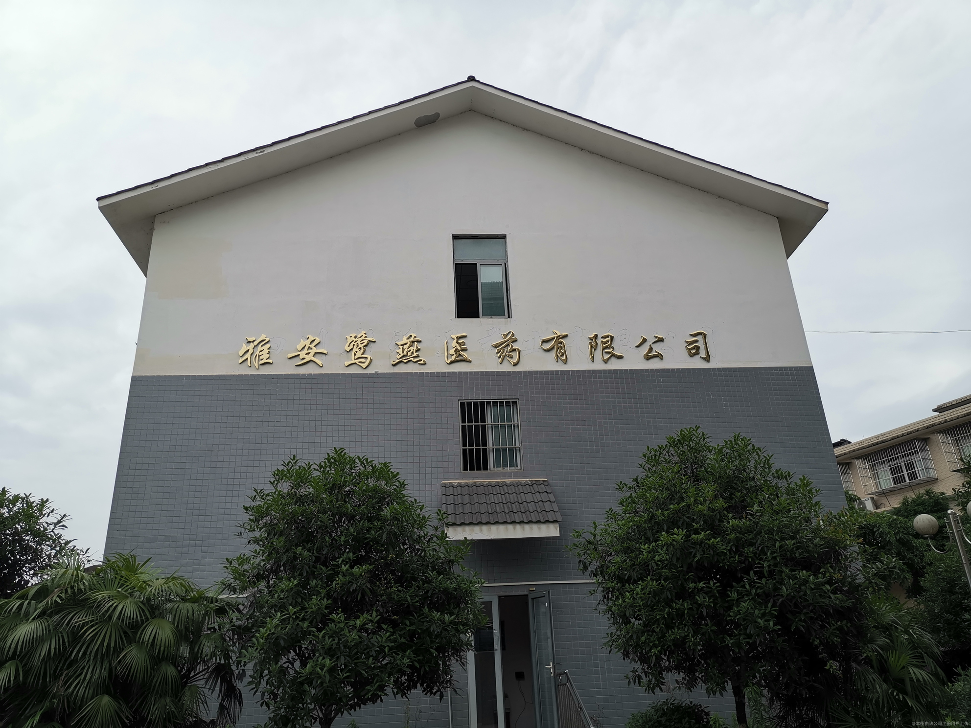 鹭燕医药12月31日龙虎榜数据