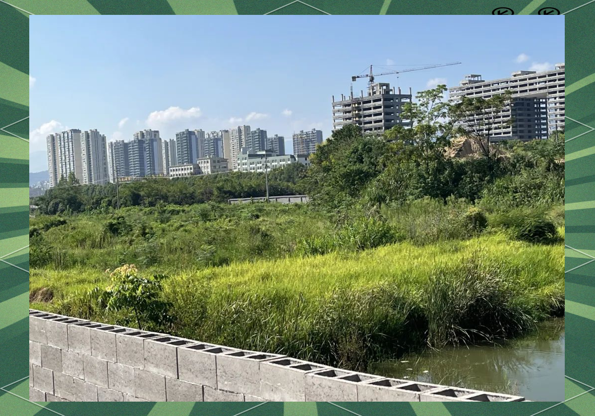 上海2宗涉宅用地45.7亿元底价成交 越秀、紫江集团各斩获一宗