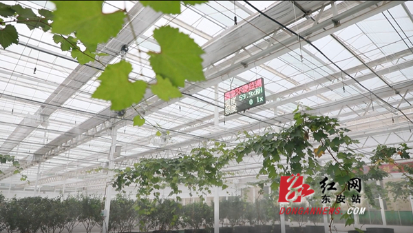 华维设计：1月7日高管廖宜勤、廖宜强减持股份合计1780股