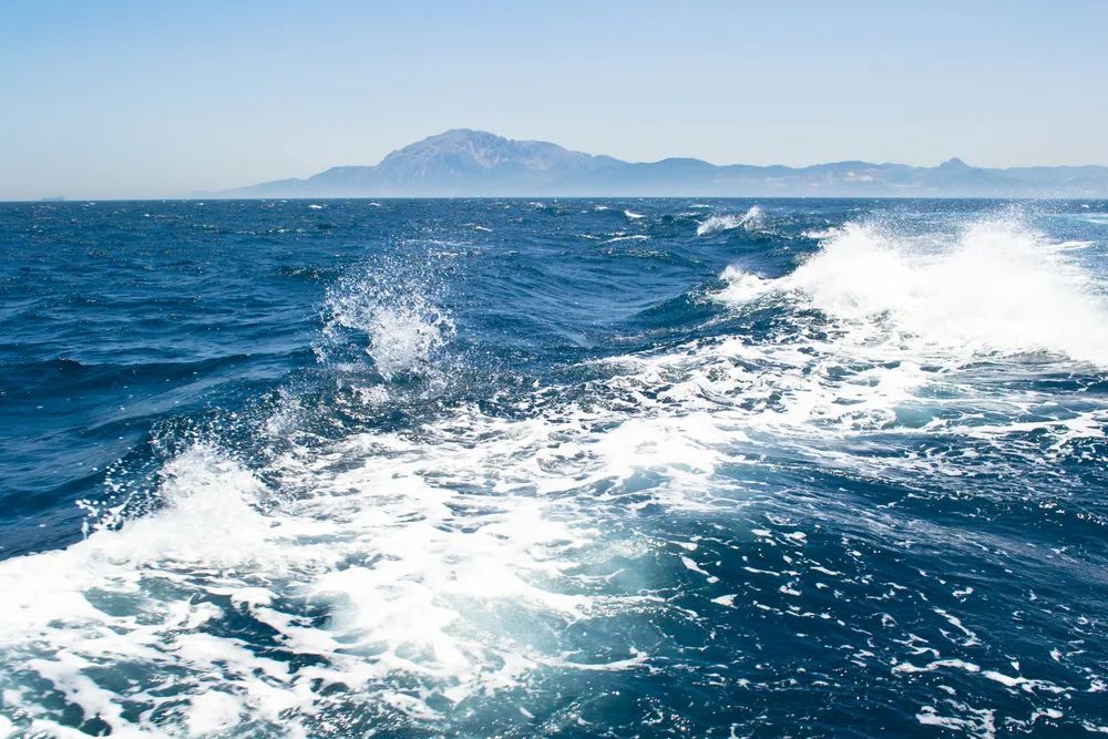 台海观澜 | 拜将，亮剑！