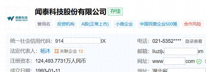 闻泰科技重大资产出售进展:印度业务资产包交易存在争议