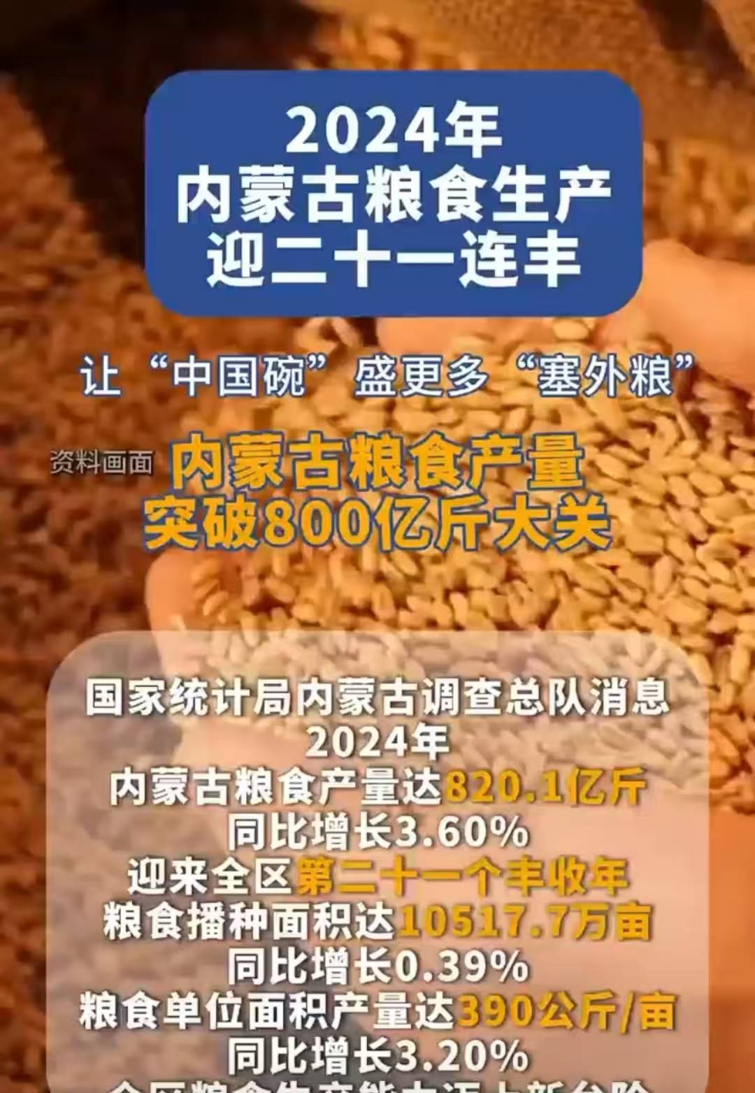 沈阳：2025年粮食总产量首次突破84亿斤，实现了“二十二连丰”