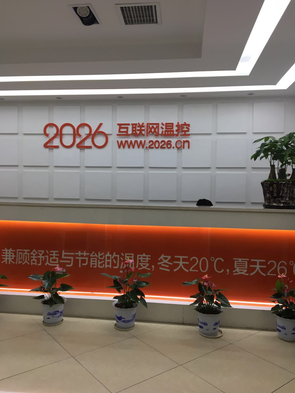 保险有温度,人保伴您前行_2026互联网药房行业全面调研及未来发展趋势预测