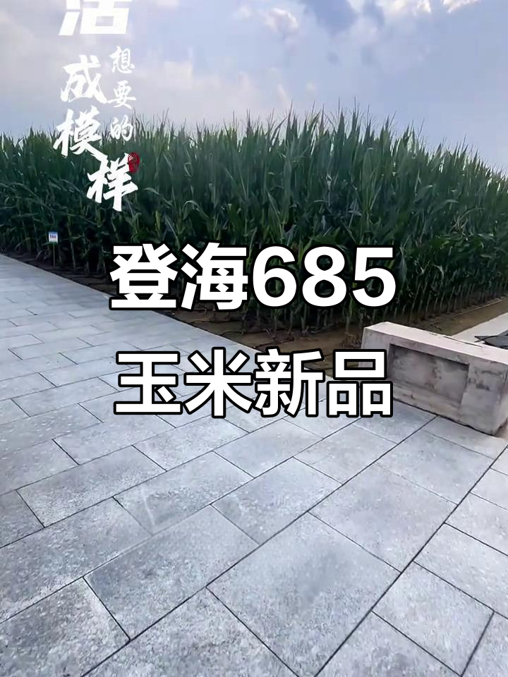 登海种业:转基因玉米转化体LD05获安全证书