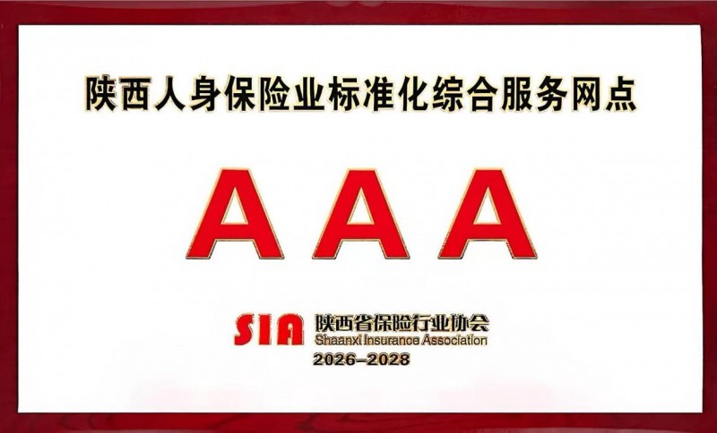 科技保险行业市场供需格局分析及未来前景预测2026_人保服务 ,拥有“如意行”驾乘险，出行更顺畅！