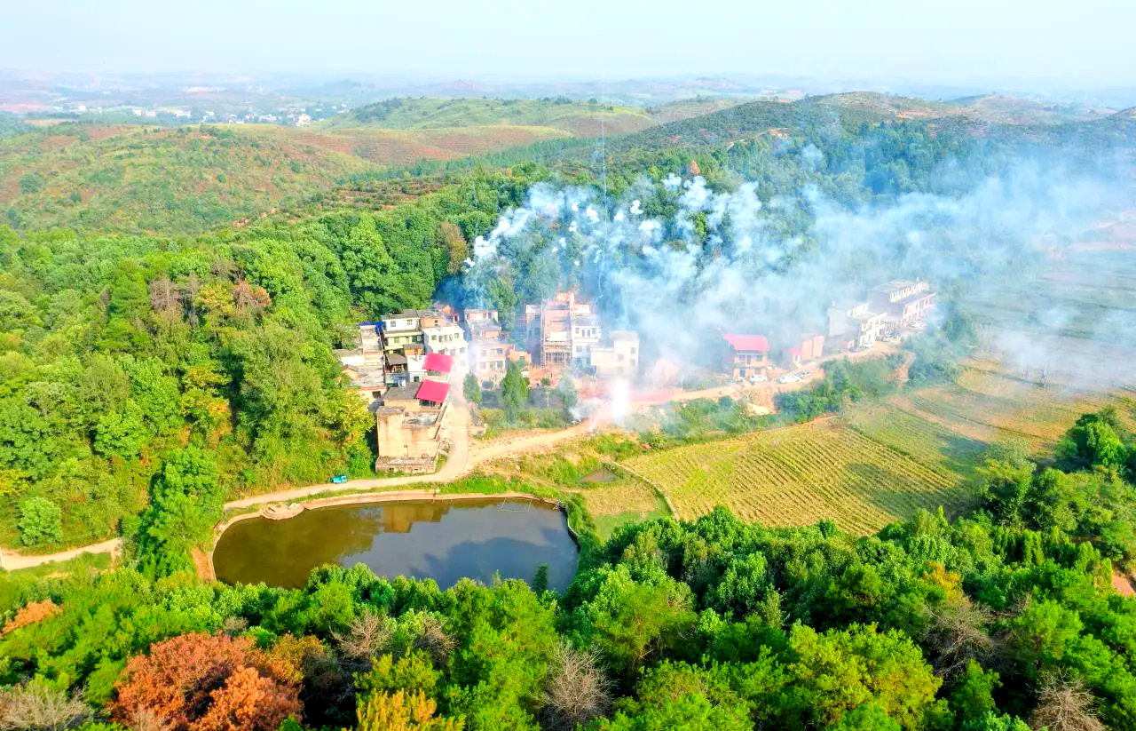 乡村产业高质量发展取得积极成效