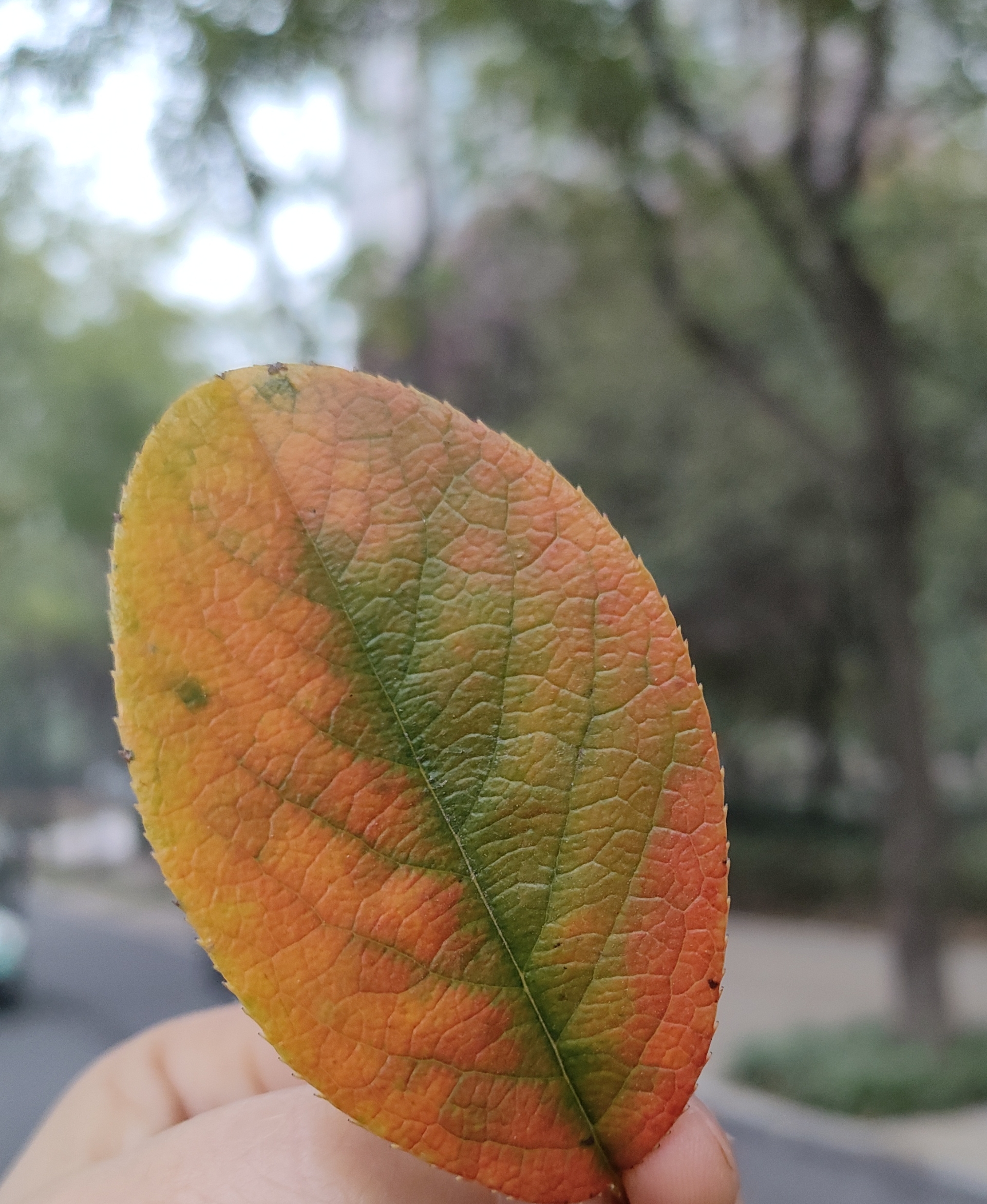 人保车险,拥有“如意行”驾乘险,出行更顺畅!_2026-2030年保险柜行业:数字资产存储需求催生“物理冷钱包”新赛道