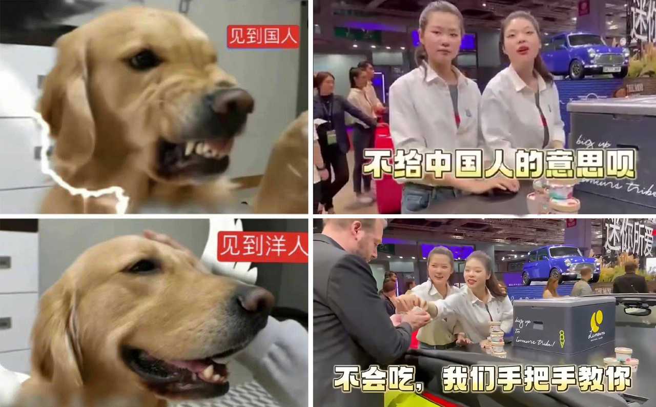 如何面对AI谄媚