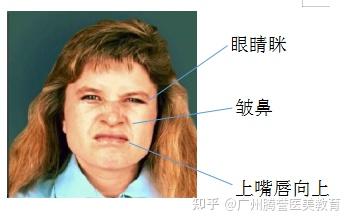 如何面对AI谄媚