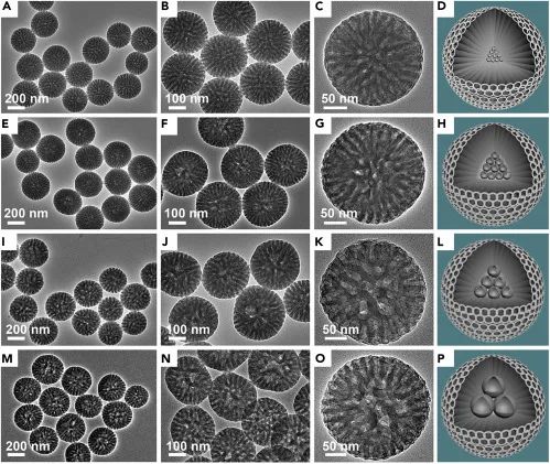 中钢天源获得发明专利授权：“一种连续化纳米级铁磷酸盐的制备方法”