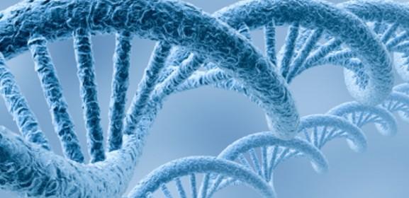 前沿生物公布国际专利申请：“一种用于抑制CFB基因表达的siRNA及其修饰物与应用”