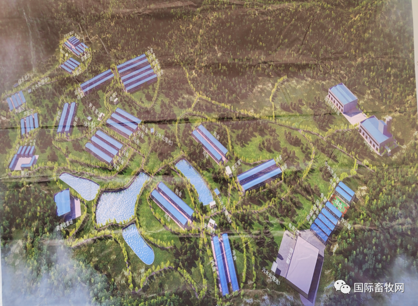 民和股份：受停孵期影响 1月份商品代鸡苗销量同比下降36.89%