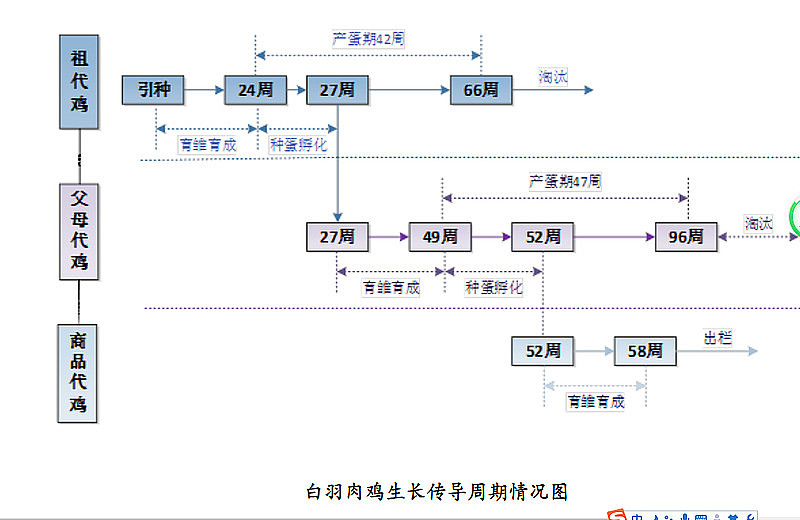 民和股份：受停孵期影响 1月份商品代鸡苗销量同比下降36.89%