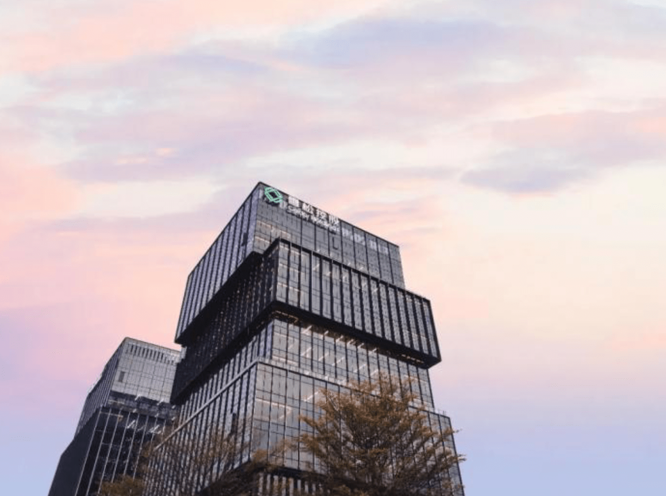 ST雪发：关联方雪松控股、实控人张劲集资诈骗一案2月10日公开宣判