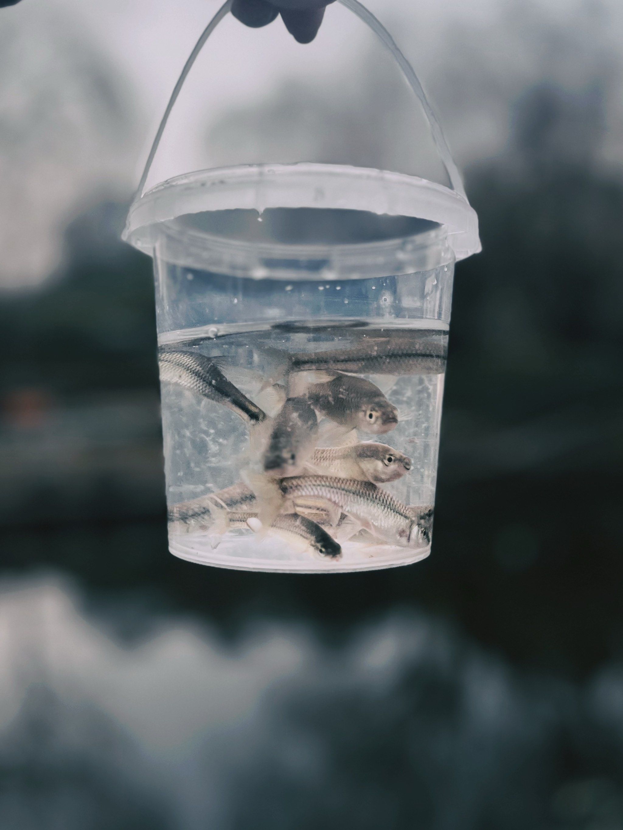 两只港股新股上市！“钓鱼佬”撑起一家IPO，大涨超100%