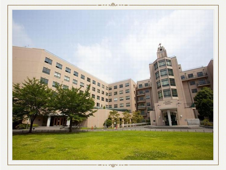 卫宁健康：香港养和医疗集团医院信息系统现代化项目正按计划推进中