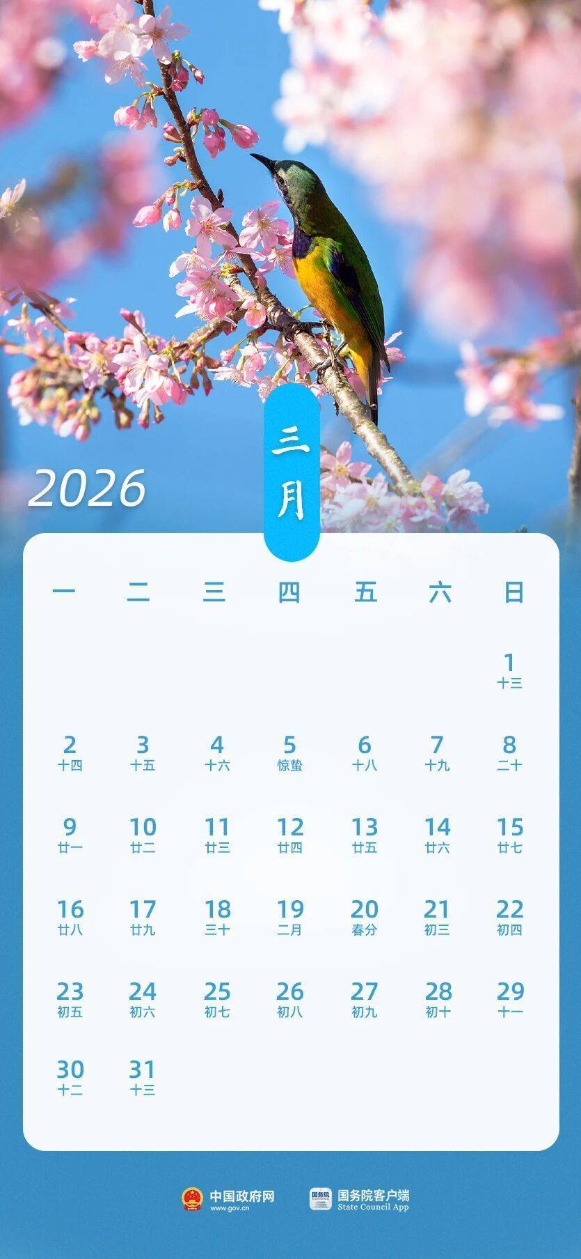 三羊马：截止2026年2月10日，公司含信用账户合并人数为17,854户