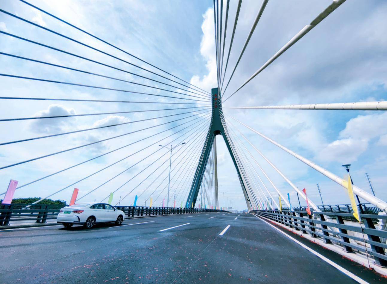 因地制宜发展新质生产力丨跨越2800公里的牵手：哈尔滨深圳联动激活科技“富矿”