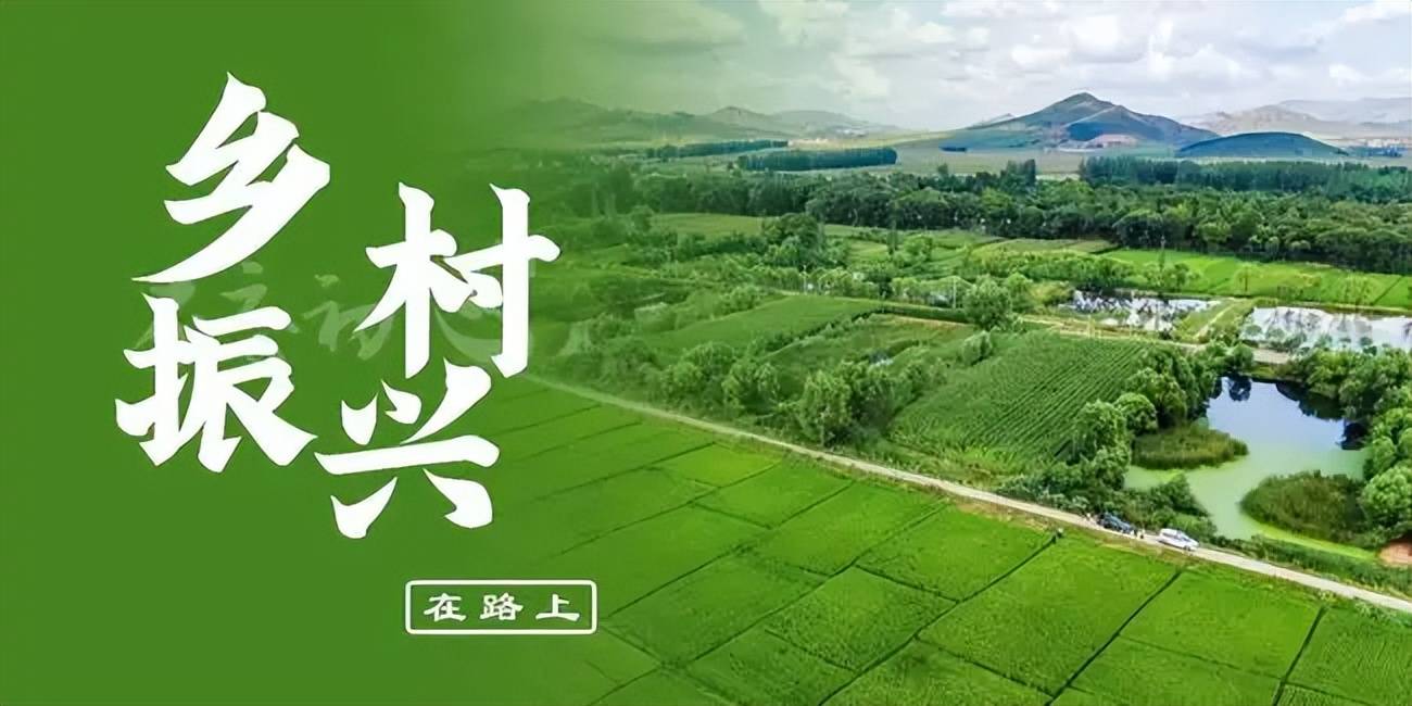 2026年乡村振兴行业市场深度调研及发展趋势预测_人保车险,人保财险政银保 