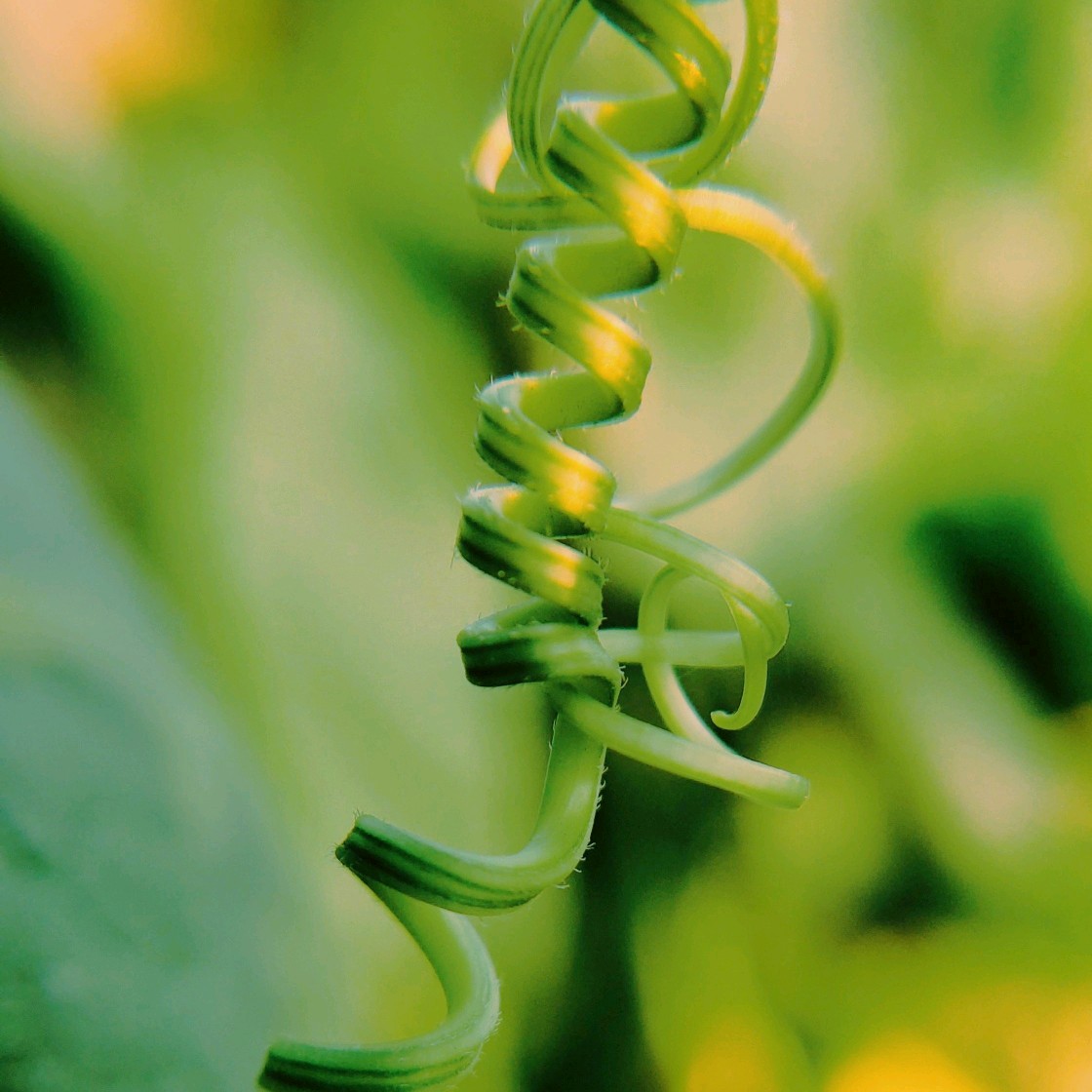 今年首期APP TOP100榜单发布 美图秀秀领跑摄影图像领域