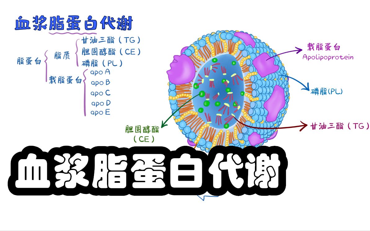 博雅生物获得实用新型专利授权：“一种血浆蛋白连续生产清洗设备”