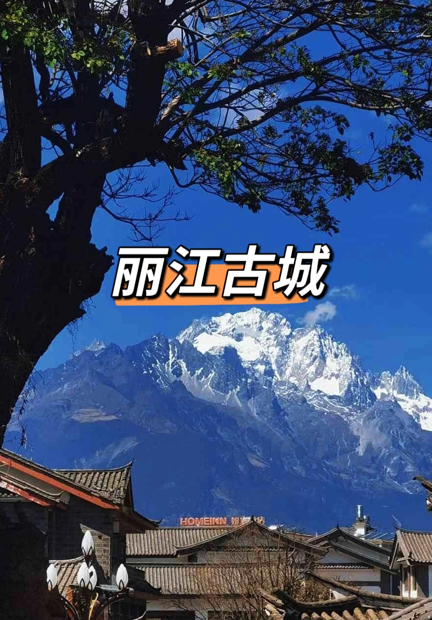 2026-2030年旅行社行业：高品质、小团定制游的“高净值”蓝海机遇_拥有“如意行”驾乘险，出行更顺畅！,人保财险 