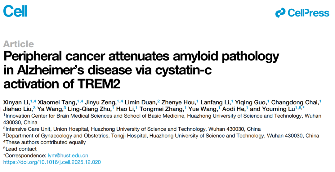 阿尔茨海默病治疗新策略！我国科学家开发新型靶向蛋白降解技术
