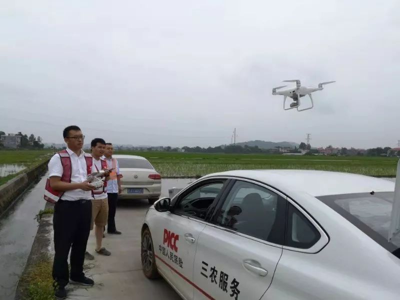 人保服务,人保有温度_2026-2030年养路机械市场：环保标准升级与电动化、无人化技术应用前景