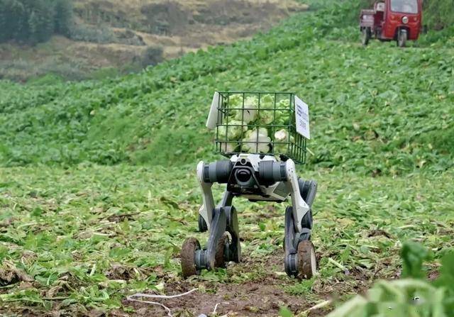 全国人大代表、杭州市市长姚高员：杭州“六小龙”已有四家冲刺上市 打造科技“小龙”孵化地