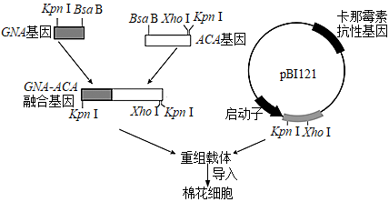 亚辉龙获得发明专利授权：“LHBs的特异性结合蛋白、核酸分子、载体、细胞、检测试剂盒及其制备方法与应用”