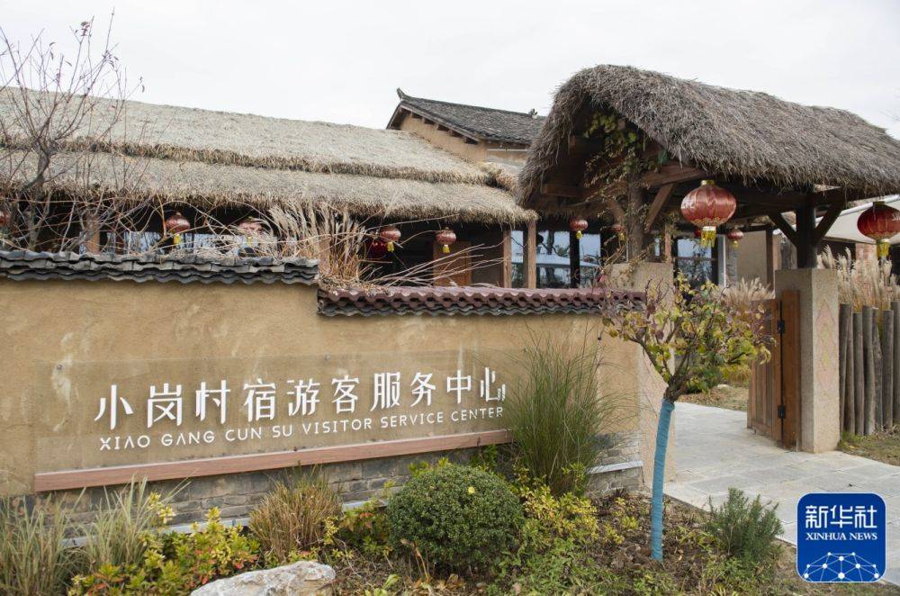 国联民生陶川：传统产业重在“焕新提质”，未来产业重在“抢占高点”