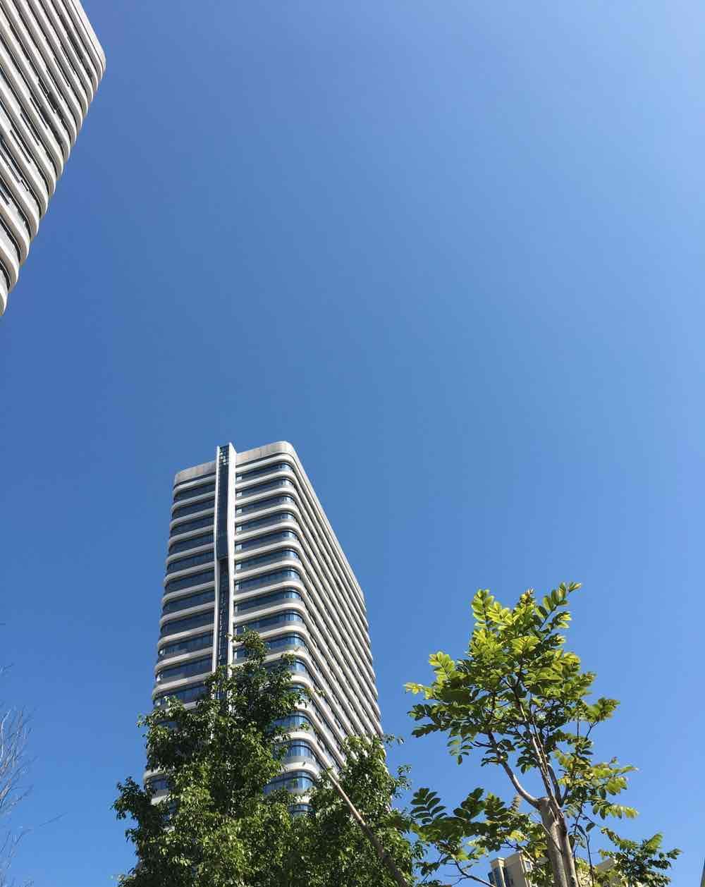 新疆众和大宗交易成交531.32万元