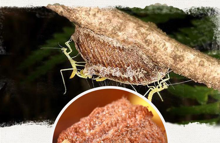 金 螳 螂获得实用新型专利授权：“一种插接式穹顶玻璃锁紧结构”