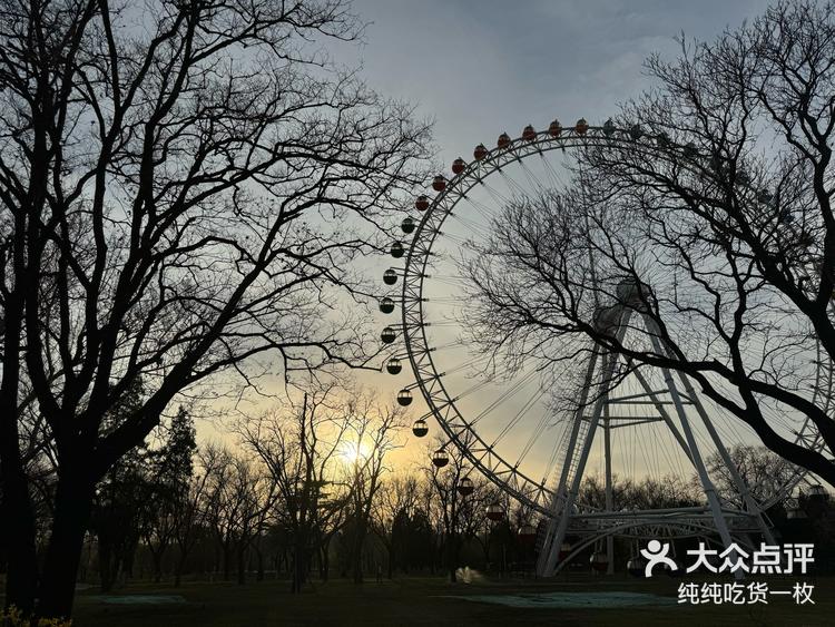 记忆中的公园
