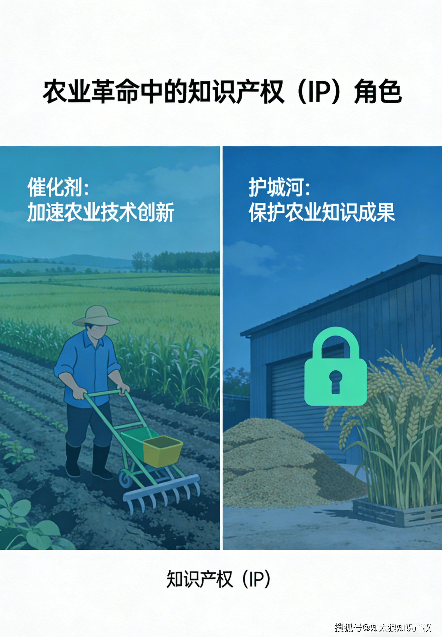农业农村部：建立健全商业化育种体系 加快种业科技成果转化应用
