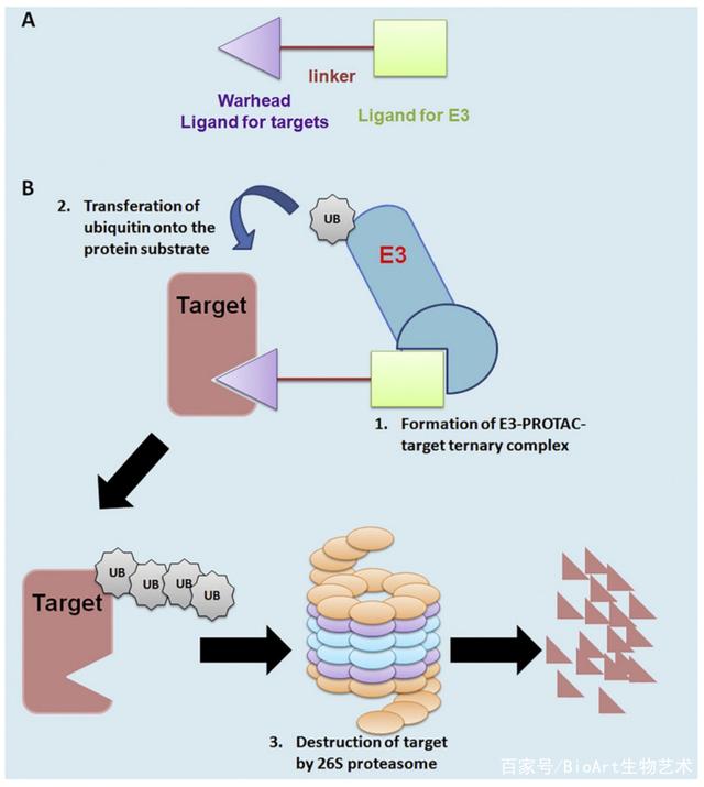 悦康药业获得发明专利授权：“一种靶向病毒DNA筛选抗病毒靶点的方法”
